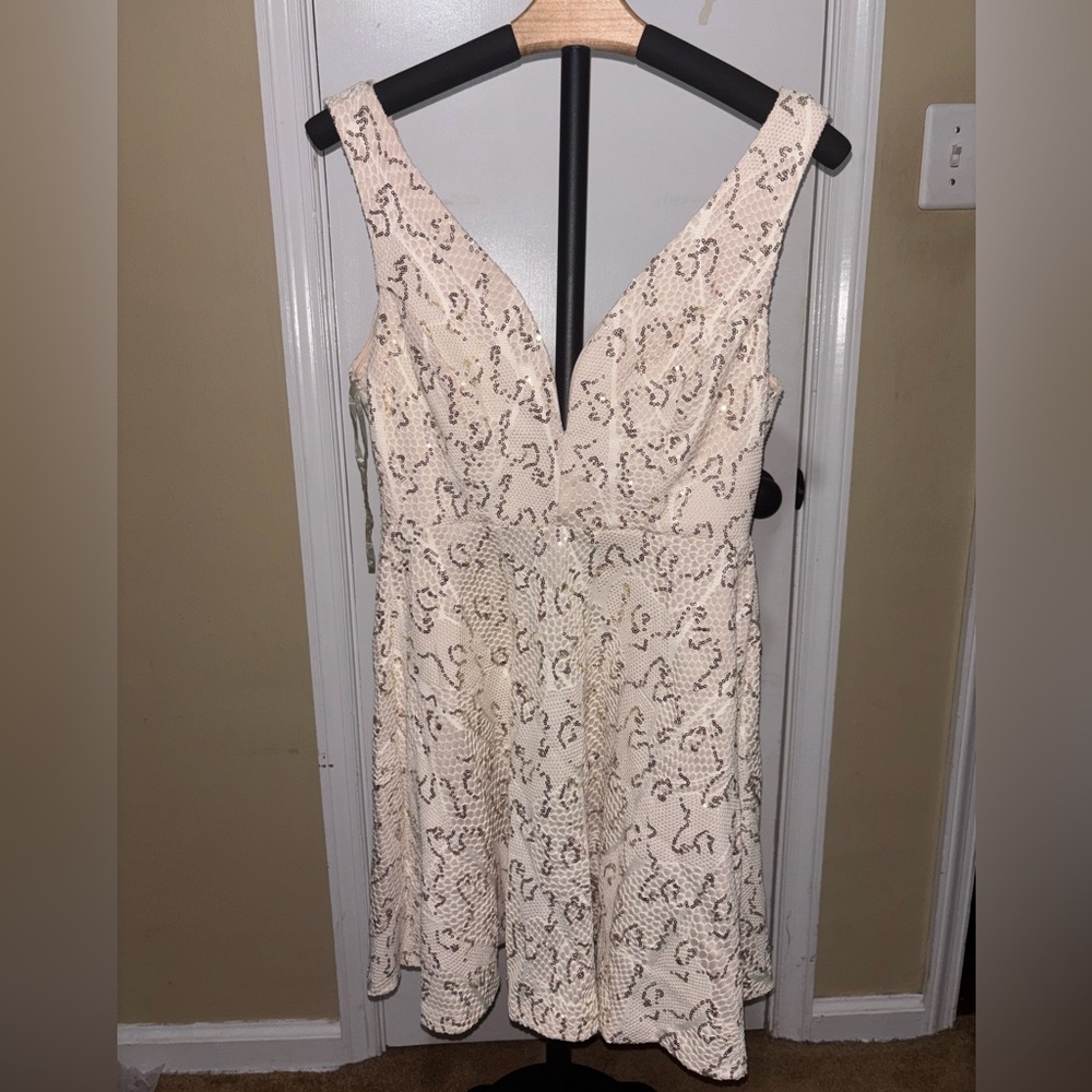 Bailey Blue Cream Lace Mini Dress